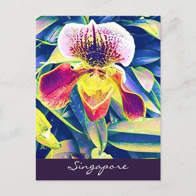 Cartão Postal Orquídea de Singapura viagem do Sudeste Asiático (Frente)
