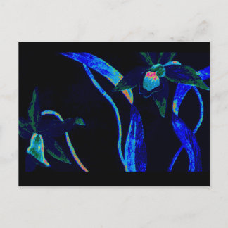 Cartão Postal Orquídea Noturna