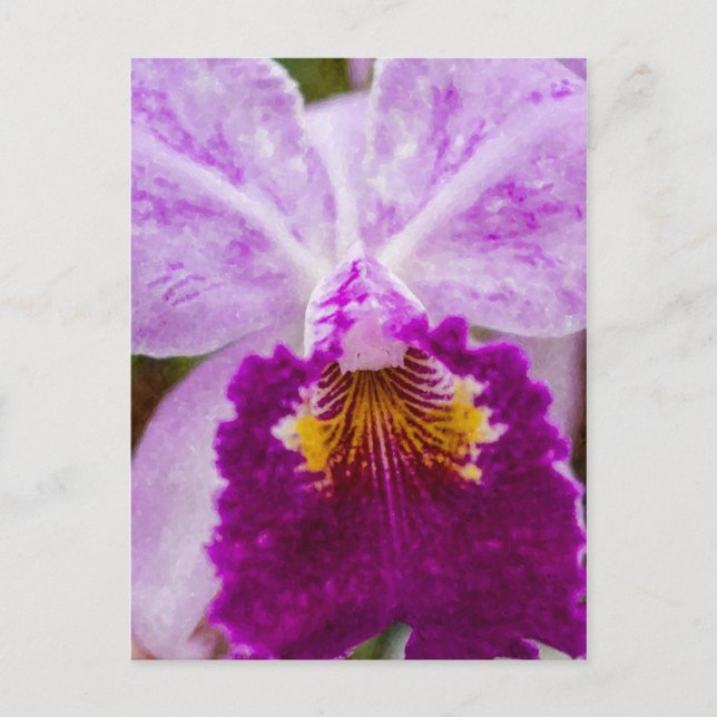Cartão Postal Orquídea Paixão Roxa (Frente)