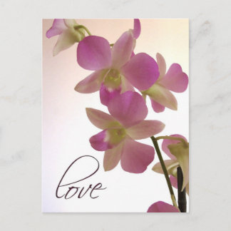 Cartão Postal Orquídea púrpura macia