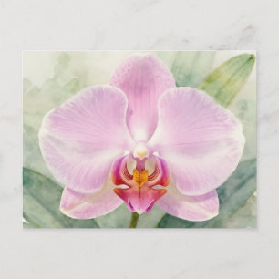 Cartão Postal Orquídea Rosa Elegante Botânica Floral Aquarela