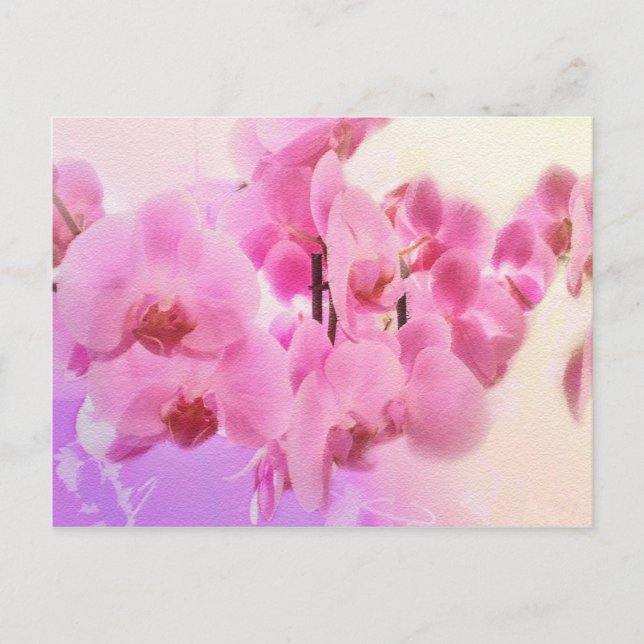 Cartão Postal orquídeas. (Frente)