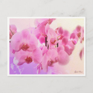 Cartão Postal orquídeas