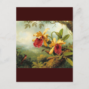 Cartão Postal Orquídeas Amarelas