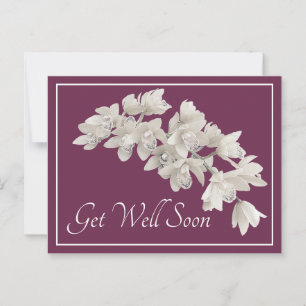 Cartão Postal Orquídeas Brancas Fundo Roxo Melhoras Breve