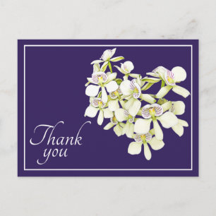 Cartão Postal Orquídeas com Veias Brancas Fundo Roxo Obrigado