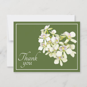 Cartão Postal Orquídeas com Veias Brancas Fundo Verde Obrigado