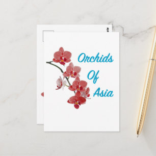 Cartão Postal Orquídeas da Ásia Day Spa