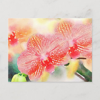 Cartão Postal Orquídeas de Aquarela