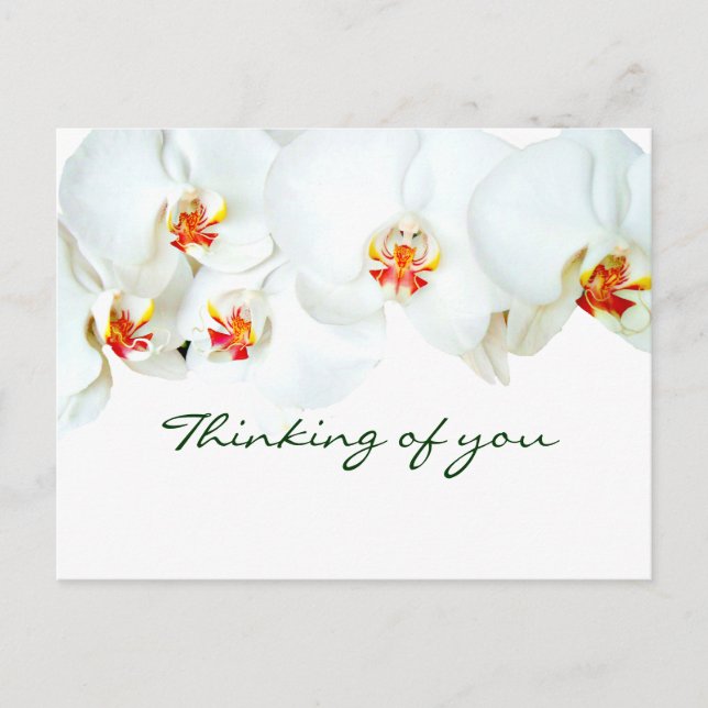 Cartão Postal Orquídeas Love (Frente)