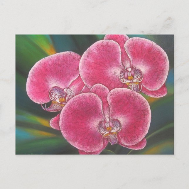 Cartão Postal Orquídeas Phalaenopsis Rosa Flores Acrílicas (Frente)