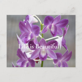 Cartão Postal Orquídeas Roxas Kauai Hawaii