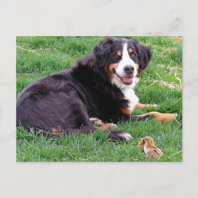 Cartão Postal Orud Serena (Frente)