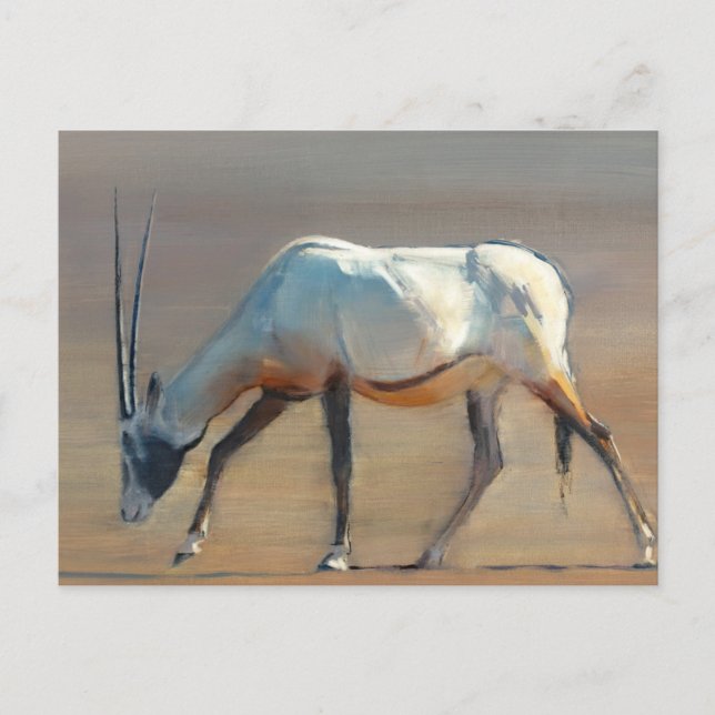 Cartão Postal Oryx Árabe 2010 (Frente)