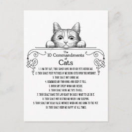 Cartão Postal Os 10 Mandamentos de Gatos Engraçados