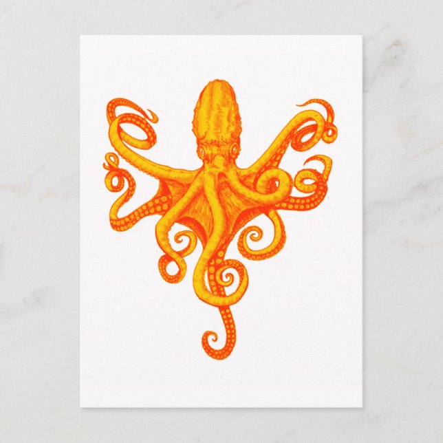 CARTÃO POSTAL OS BOVINOS OCTOPUS (Frente)