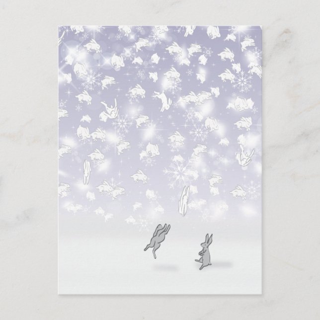 CARTÃO POSTAL OS BUNHOS DE SOLDOTNA, ALASKA (Frente)