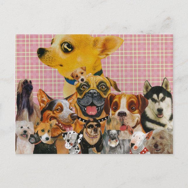 Cartão Postal Os cães são divertidos (Frente)