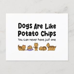 Cartão Postal Os Cães Yorki São Como Batatas Que Você Nunca Pode
