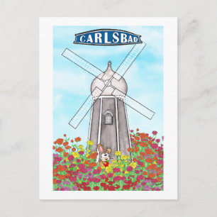 Cartão Postal Os Campos de Flores de Carlsbad Califórnia