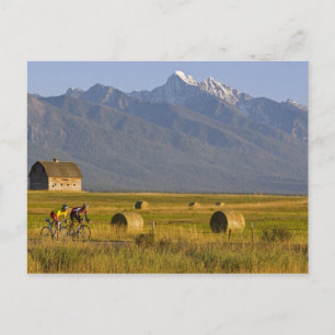 Cartão Postal Os ciclistas de veículos rodoviários correm pela e