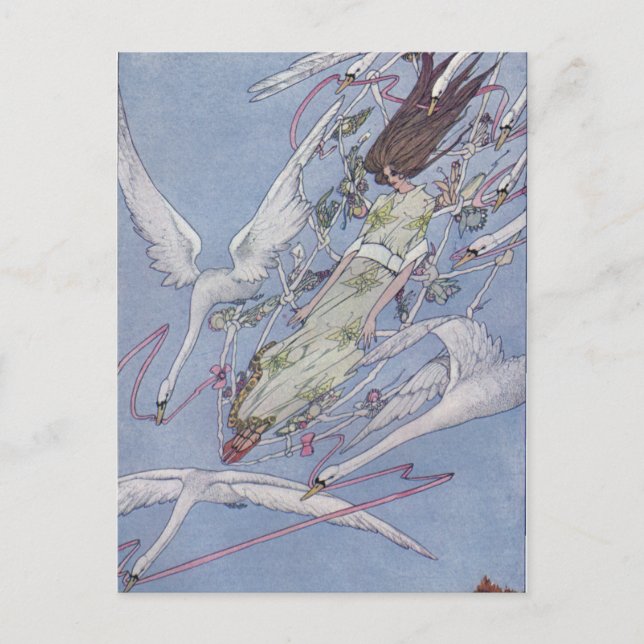 Cartão Postal Os Cisnes Selvagens (Frente)