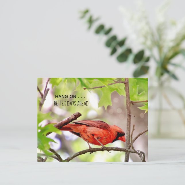 Cartão Postal Os Dias Melhores Estão Chegando Cartão-Postal (Em pé/Frente)