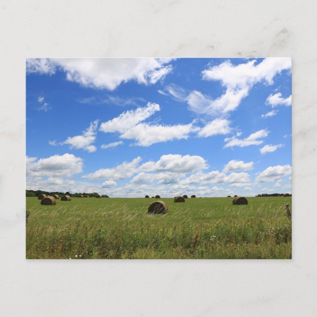 Cartão Postal Os Fardos de Verão 3 (Frente)