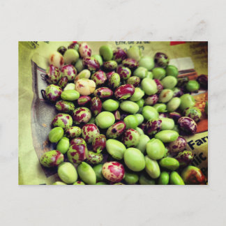 Cartão Postal Os Gandules da Fazenda Postal