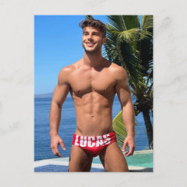 Cartão Postal Os Gatos Mais Gostos do Planeta! Hora da Igualdade