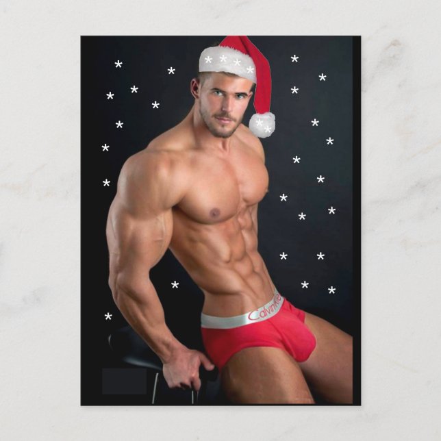 Cartão Postal Os Gatos Mais Gostos do Planeta! Hora da Igualdade (Frente)