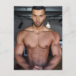 Cartão Postal Os Gatos Mais Gostosões do Planeta! Hora da Iguald