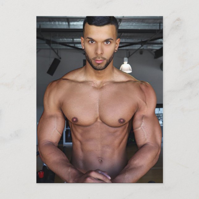 Cartão Postal Os Gatos Mais Gostosões do Planeta! Hora da Iguald (Frente)