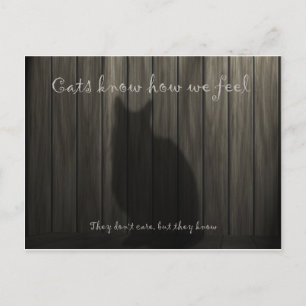 Cartão Postal Os Gatos Sabem Como Nos Sentimos