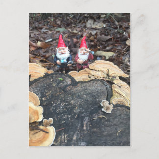 Cartão Postal Os Gnomos do Fungo