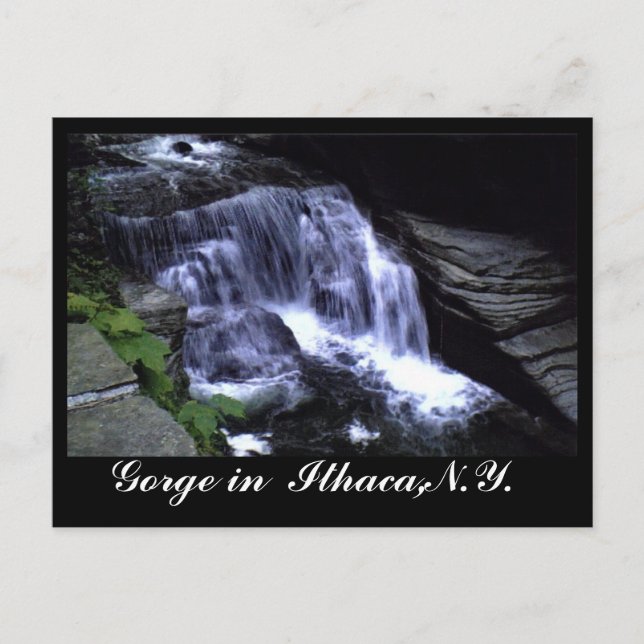 Cartão Postal OS GORGES DE ITHACA, N.Y. postais (Frente)