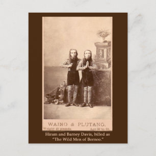 Cartão Postal Os Homens Selvagens de Borneo em Cartões, Cartões-
