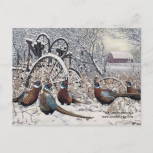 Cartão Postal "Os Intocáveis" de Joshua Spies