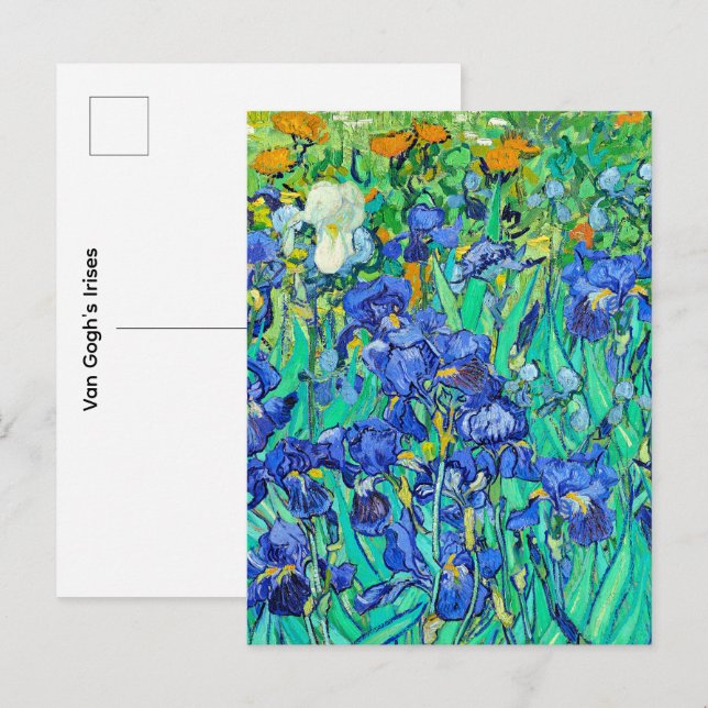Cartão Postal Os Íris de Van Gogh (Frente/Verso)