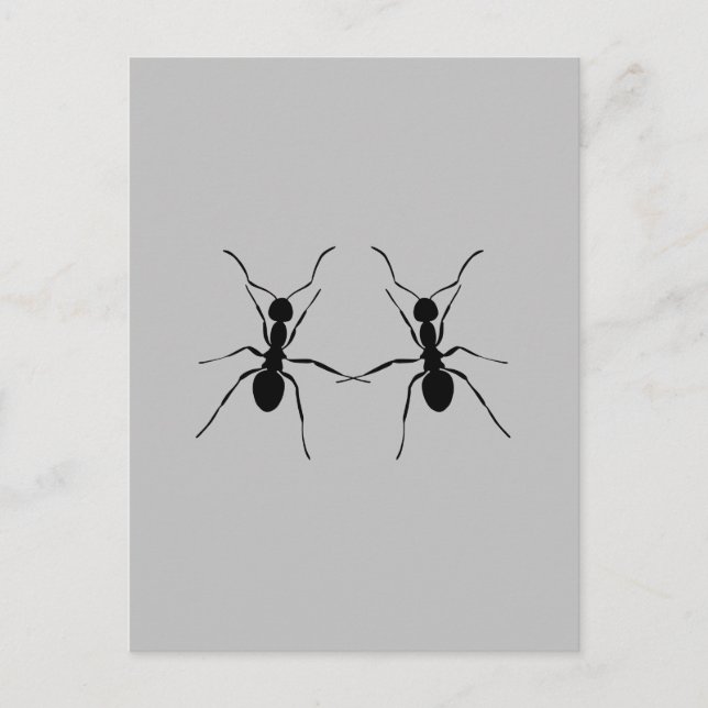 Cartão Postal Os melhores amigos. Casal Ant (Frente)