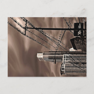 Cartão Postal Os Pássaros, Austin, TX