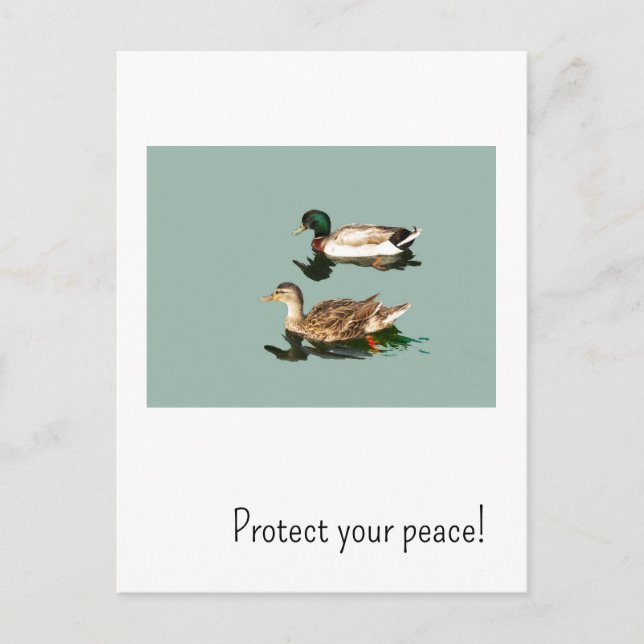 Cartão Postal Os patos. Proteja a sua paz (Frente)