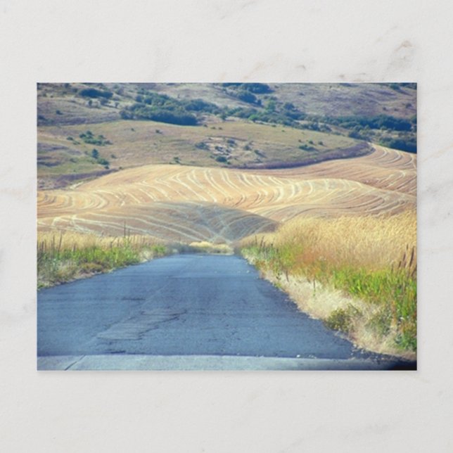 Cartão Postal Os pés da ponta do pé (Frente)