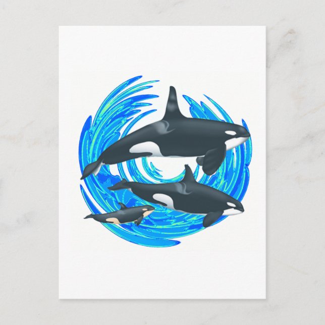 CARTÃO POSTAL OS PODS DO EXCELENTE (Frente)