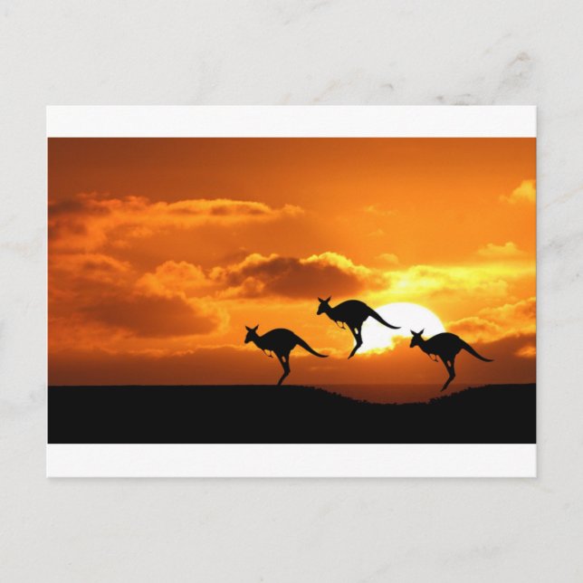 CARTÃO POSTAL OS ROO RUNNERS. (Frente)