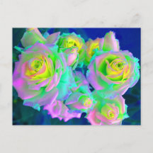 Os Rosas de Prédio Iridescentes