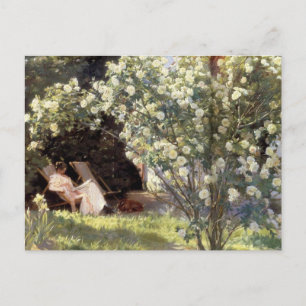 Cartão Postal Os Rosas Les de Kroyer