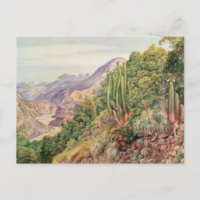 Cartão Postal Os Streams de Línguas em Cordellera, Chile (Frente)