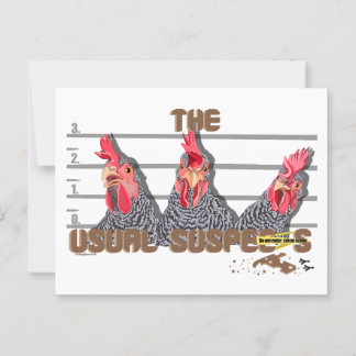 Cartão Postal Os suspeitos de "Barred Rock Hens"