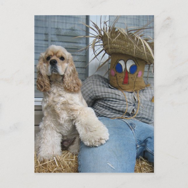 Cartão Postal Oscar e Phil (Frente)